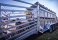 Triple Axle 14' x 6' x 6'H Livestock Trailer LV35146TRI